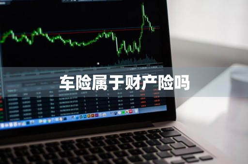 车险属于财产险吗