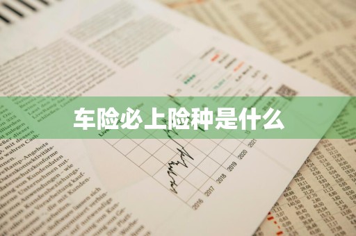 车险必上险种是什么