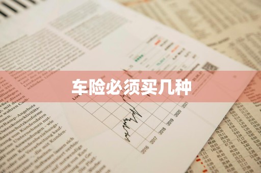 车险必须买几种