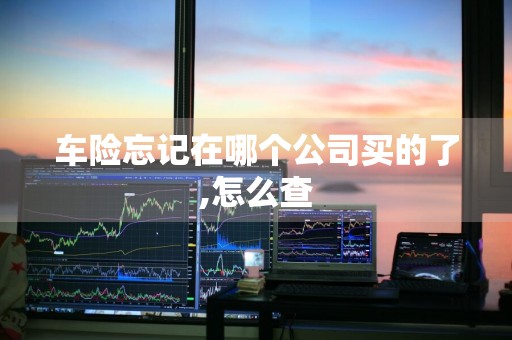 车险忘记在哪个公司买的了,怎么查