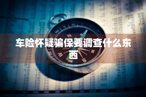 车险怀疑骗保要调查什么东西