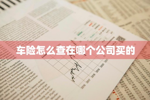 车险怎么查在哪个公司买的