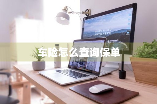 车险怎么查询保单
