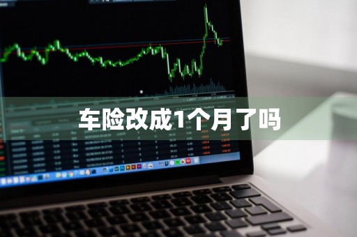 车险改成1个月了吗
