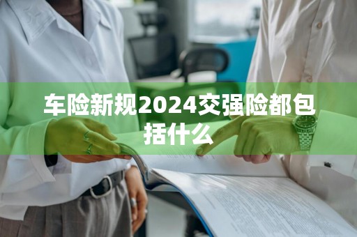 车险新规2024交强险都包括什么
