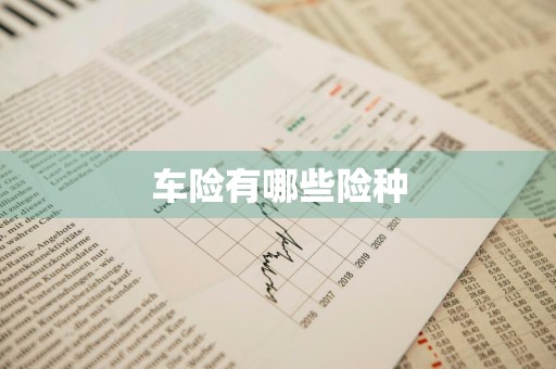 车险有哪些险种