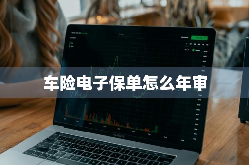 车险电子保单怎么年审