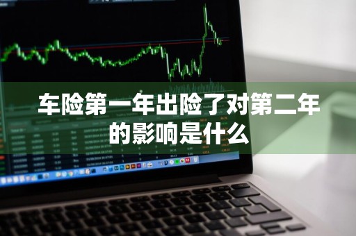 车险第一年出险了对第二年的影响是什么