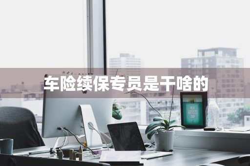 车险续保专员是干啥的