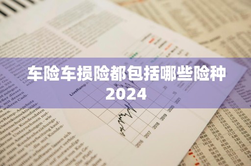 车险车损险都包括哪些险种2024