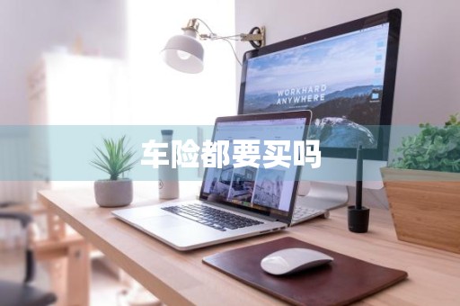 车险都要买吗