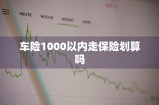 车险1000以内走保险划算吗