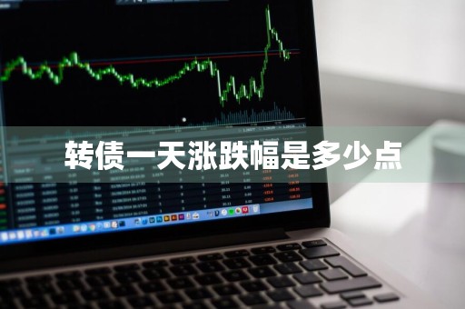 转债一天涨跌幅是多少点