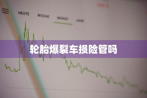 轮胎爆裂车损险管吗