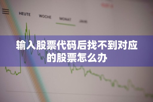 输入股票代码后找不到对应的股票怎么办