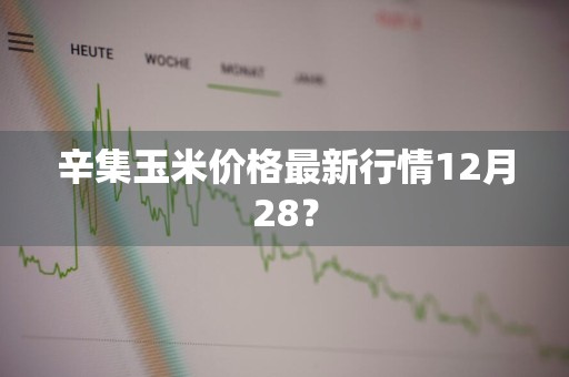 辛集玉米价格最新行情12月28?