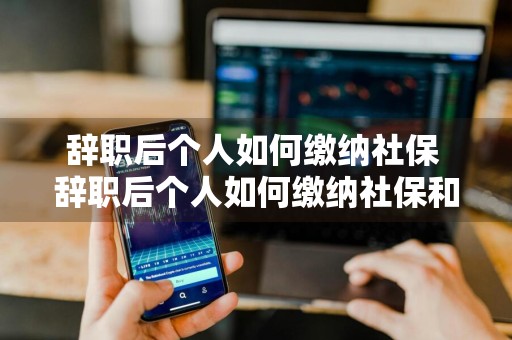 辞职后个人如何缴纳社保 辞职后个人如何缴纳社保和医保