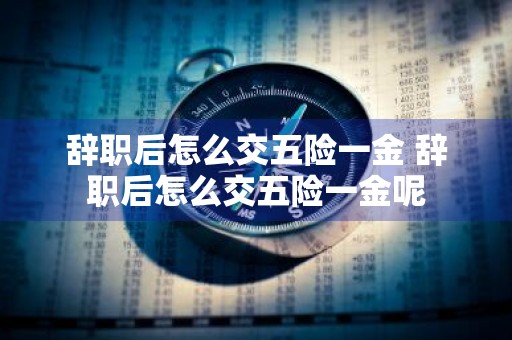 辞职后怎么交五险一金 辞职后怎么交五险一金呢