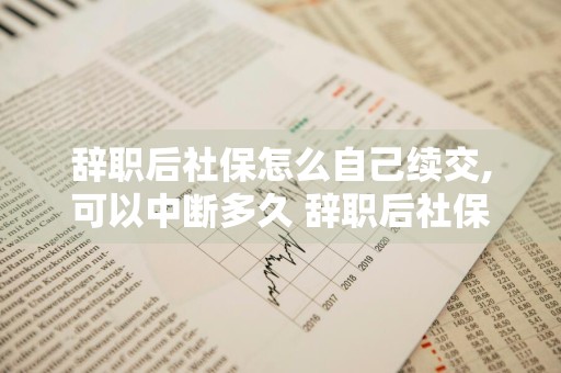 辞职后社保怎么自己续交,可以中断多久 辞职后社保自己续交有哪些方式