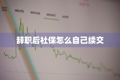 辞职后社保怎么自己续交