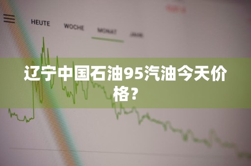 辽宁中国石油95汽油今天价格？