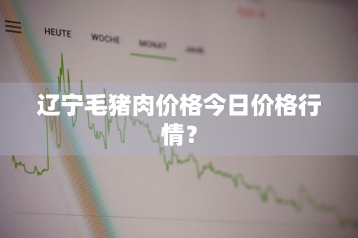 辽宁毛猪肉价格今日价格行情？