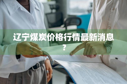 辽宁煤炭价格行情最新消息？