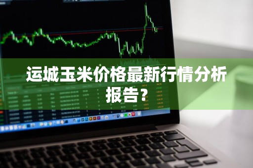 运城玉米价格最新行情分析报告？
