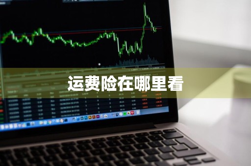 运费险在哪里看