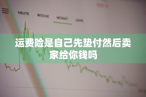 运费险是自己先垫付然后卖家给你钱吗
