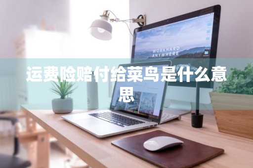 运费险赔付给菜鸟是什么意思