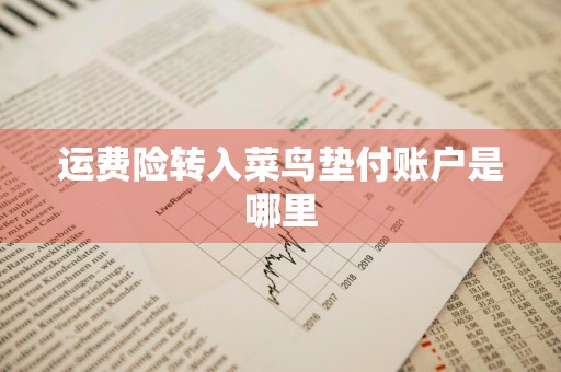 运费险转入菜鸟垫付账户是哪里