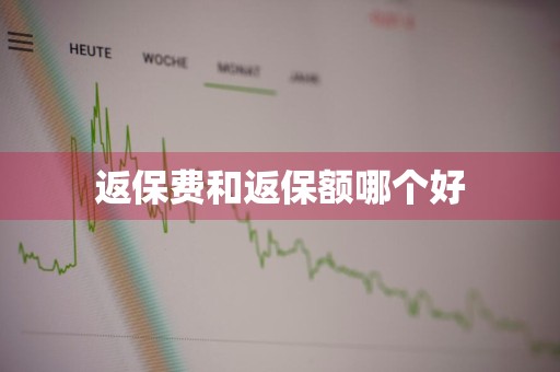 返保费和返保额哪个好