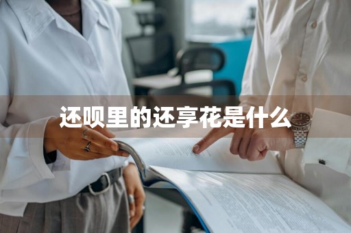 还呗里的还享花是什么