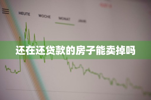 还在还贷款的房子能卖掉吗