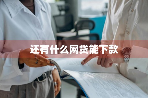还有什么网贷能下款