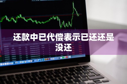 还款中已代偿表示已还还是没还