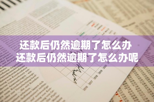 还款后仍然逾期了怎么办 还款后仍然逾期了怎么办呢