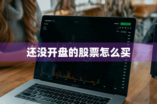 还没开盘的股票怎么买