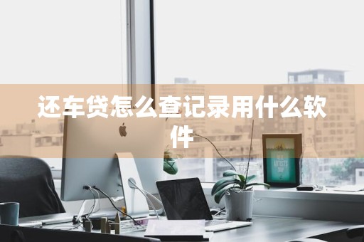 还车贷怎么查记录用什么软件