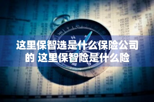 这里保智选是什么保险公司的 这里保智险是什么险