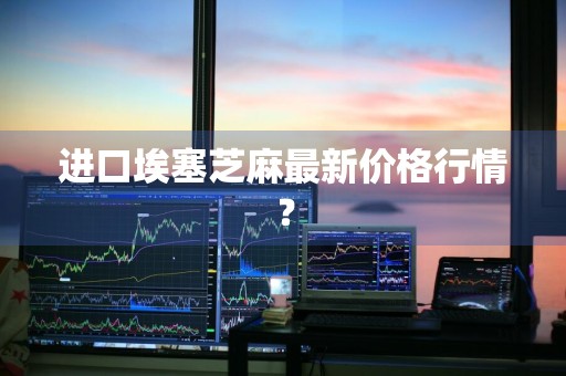 进口埃塞芝麻最新价格行情？