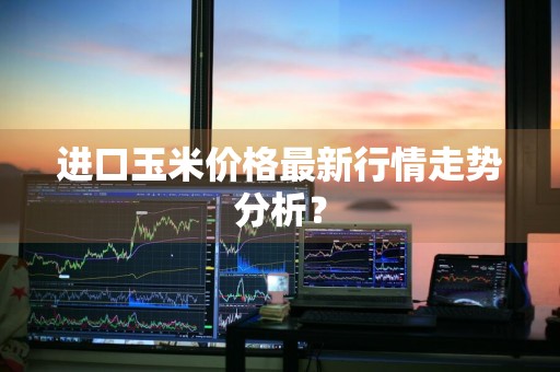 进口玉米价格最新行情走势分析？