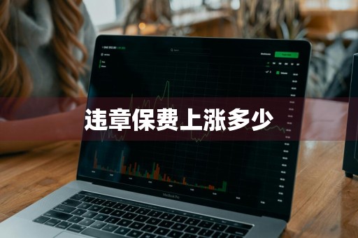 违章保费上涨多少