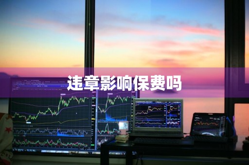 违章影响保费吗