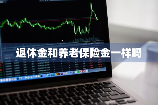 退休金和养老保险金一样吗