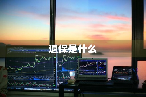 退保是什么