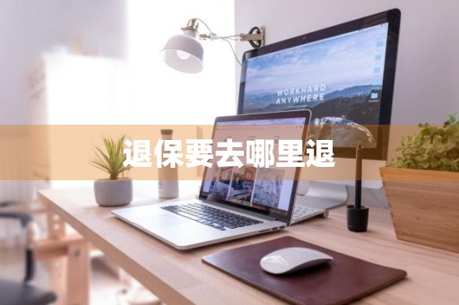 退保要去哪里退