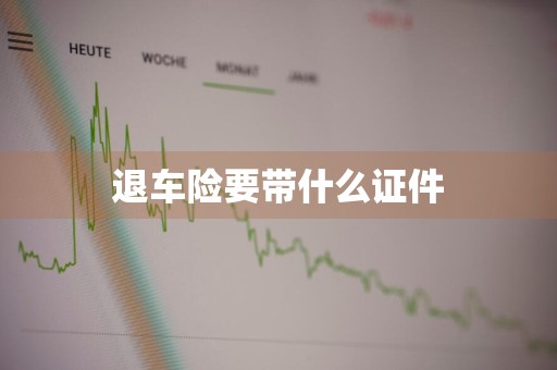 退车险要带什么证件
