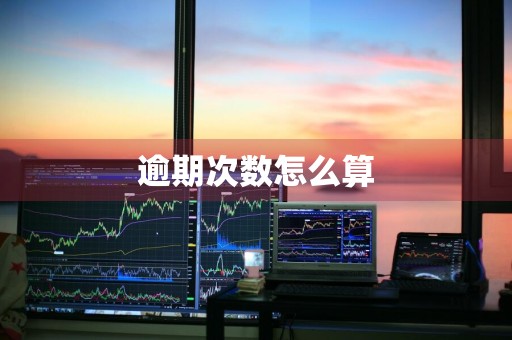 逾期次数怎么算